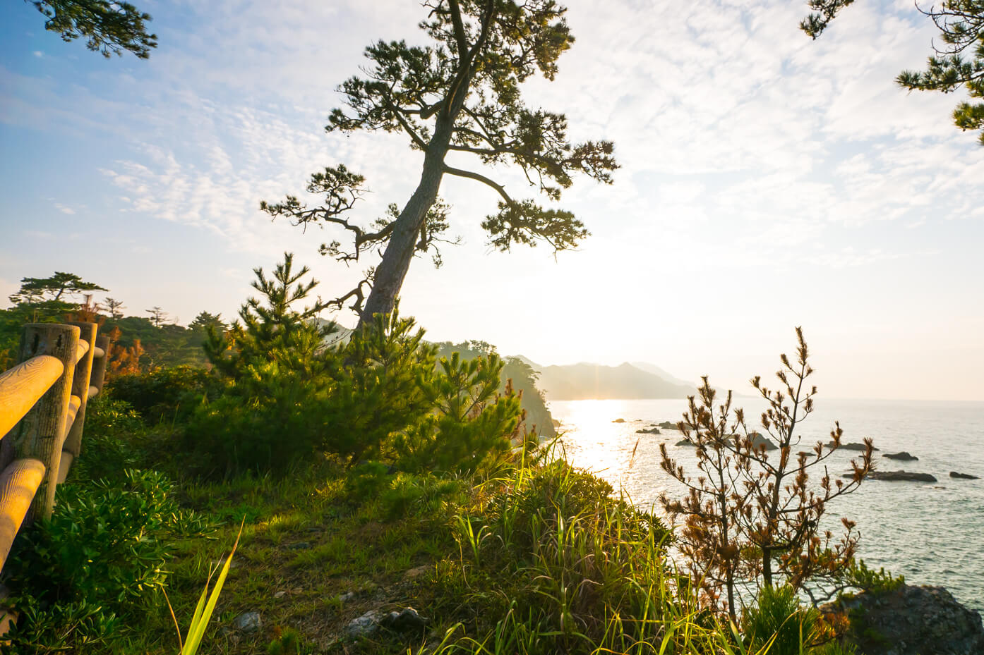 青海島自然研究路（メモリアルロード）から眺める絶景