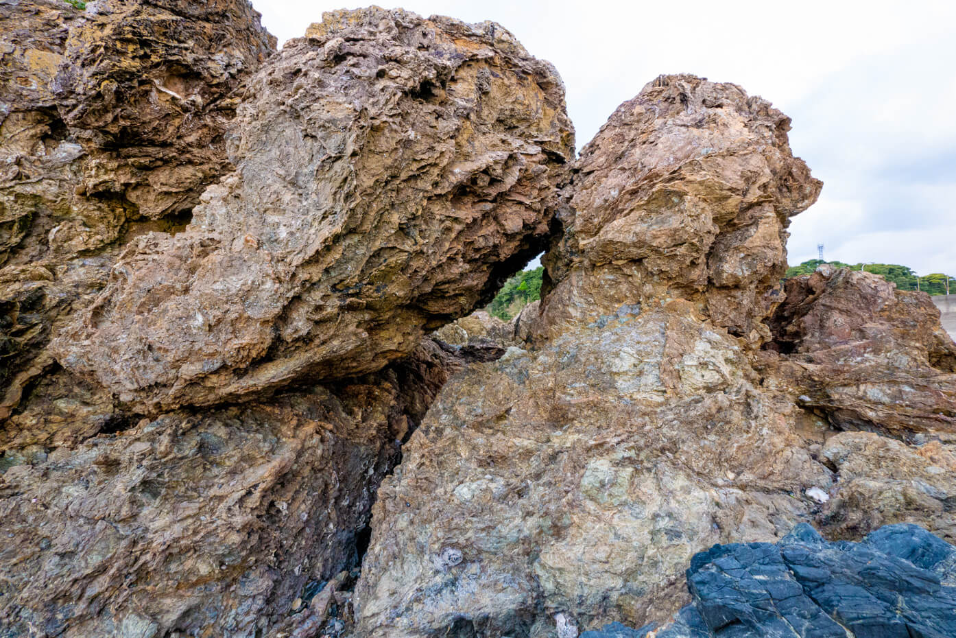 本山岬の流紋岩